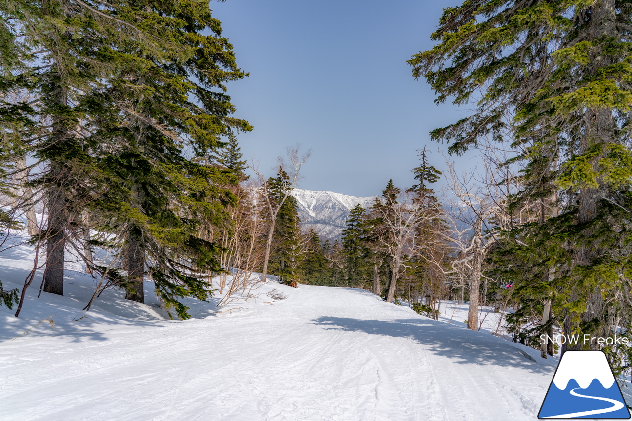 大雪山層雲峡・黒岳ロープウェイスキー場｜2021-2022シーズン終了間近…。積雪280cm＆5月8日までスキーリフト営業の黒岳で、春スキー＆スノーボードを満喫しましょう！